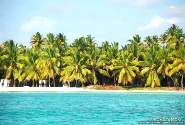 Saona Island - Palmilla Beach